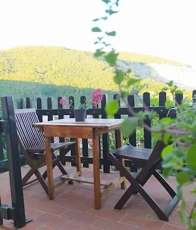 Bilocale Con Giardino Gavorrano